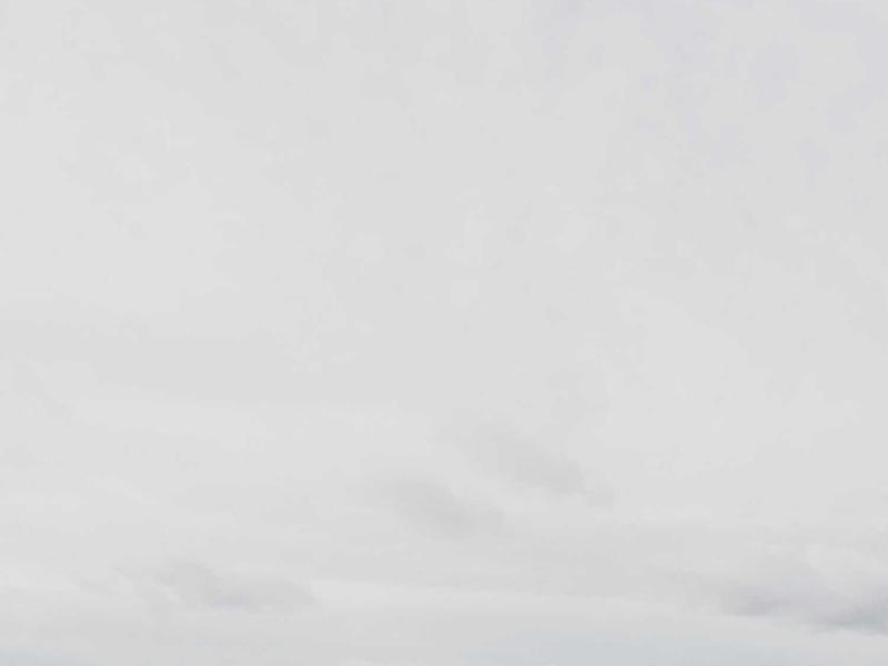 Free-range Eggs (Dozen)