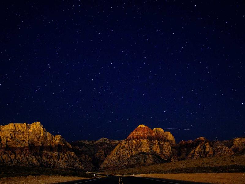 Fresh vegetables from a local farm